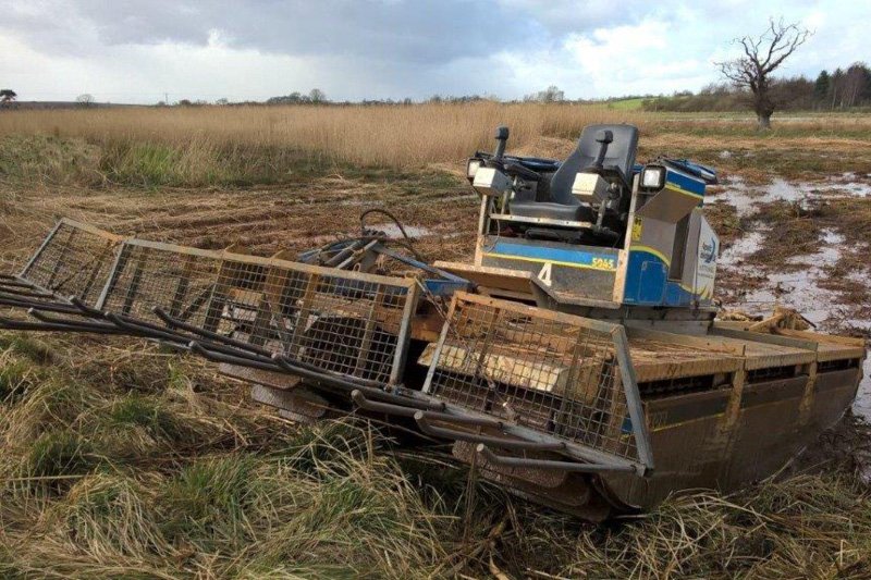 industrial-reed-cutting